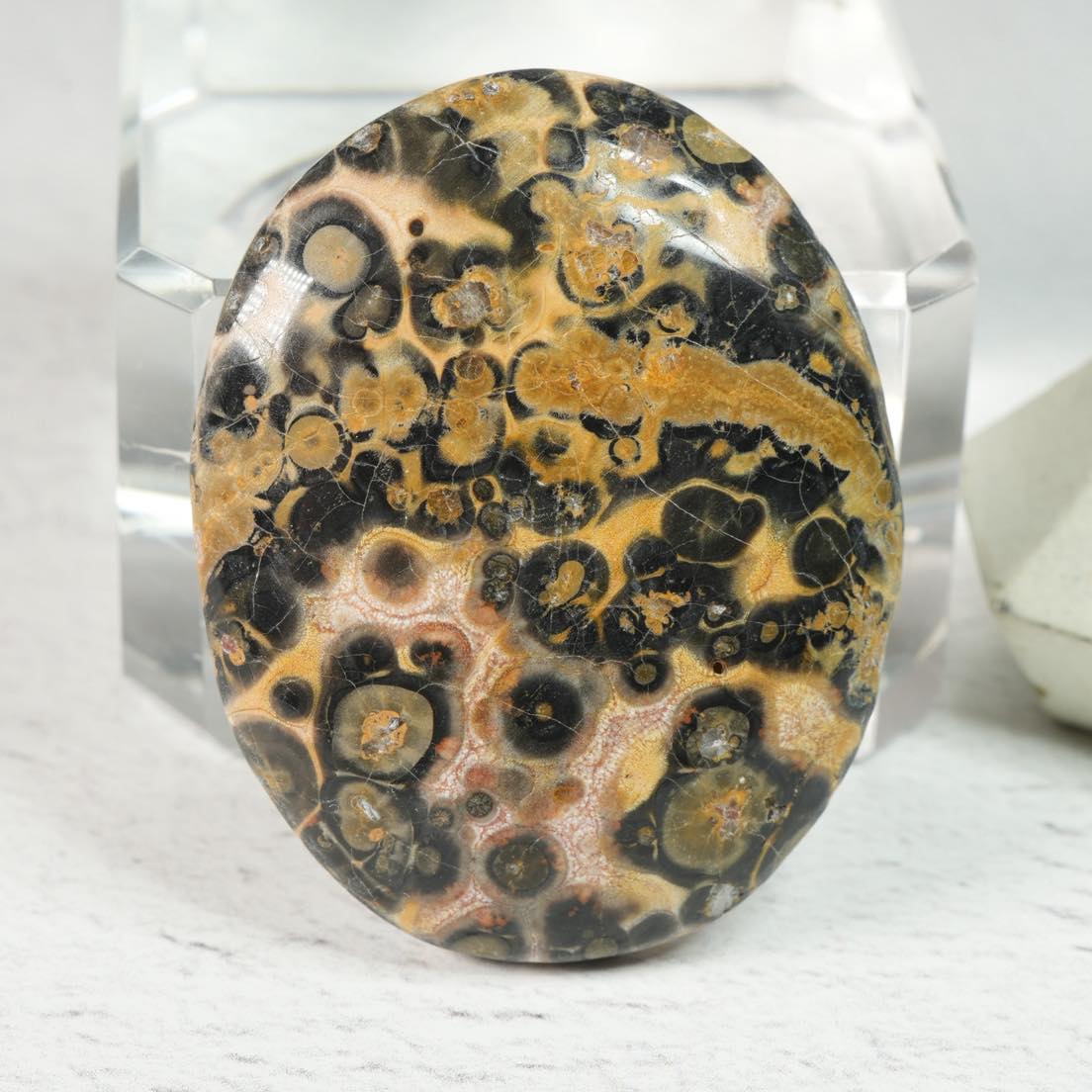 Leopard Skin Jasper • Cabochon