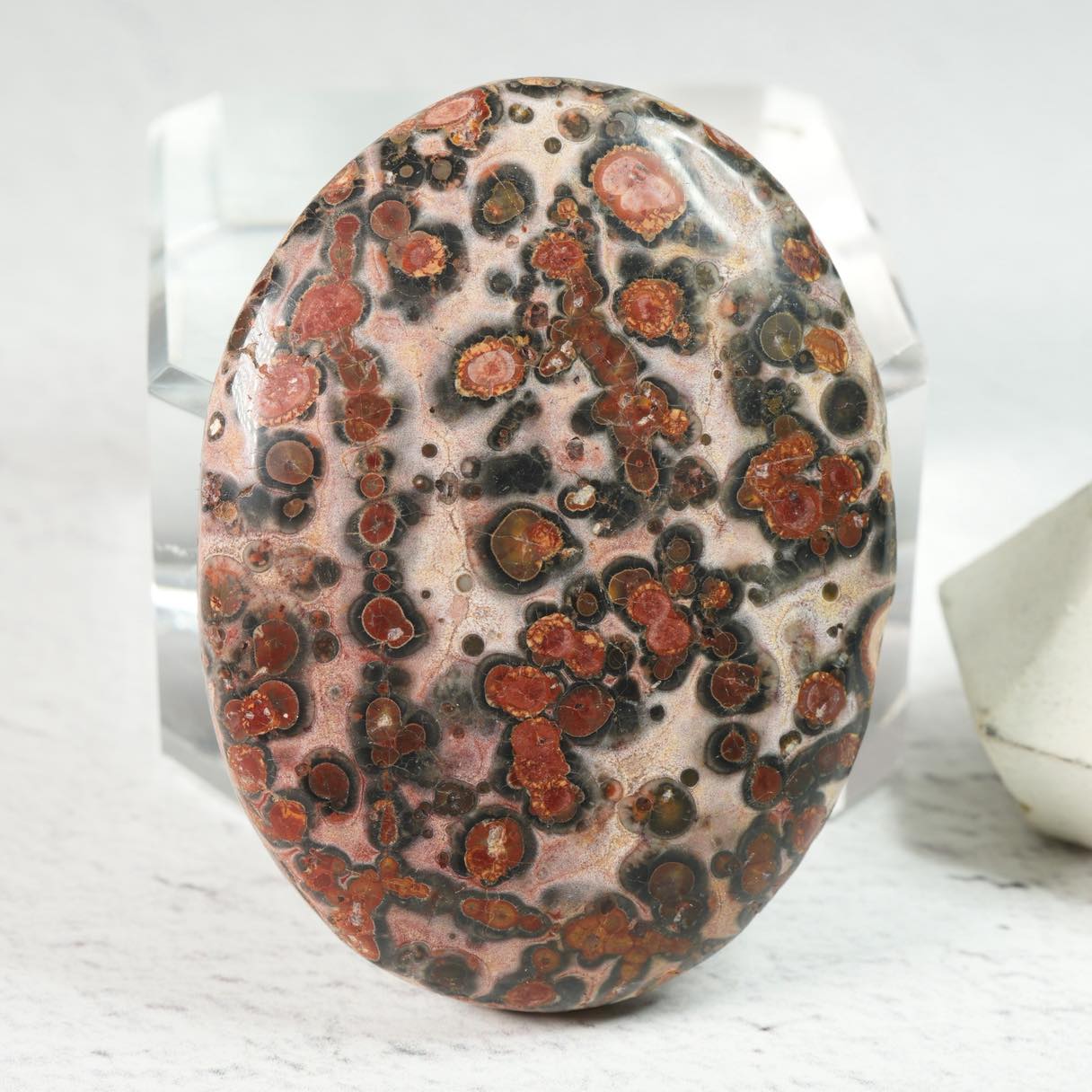 Leopard Skin Jasper • Cabochon
