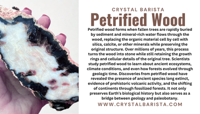 Petrified Wood with Rainbow Iris Agate - Pendant