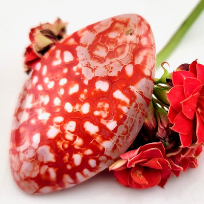 Dragon Scale Agate - Drilled Pendant