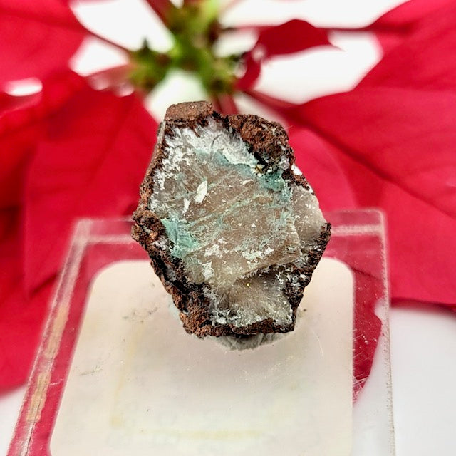 Copper Pseudomorph Aragonite - Mineral Specimen