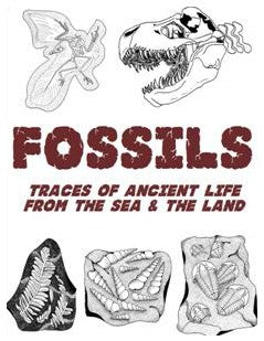 Fossils: Traces of Ancient Life Form The Sea & The Land - Workbook for 4th-9th Grade