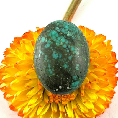 Turquoise - Cabochon